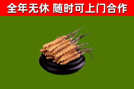 金秀烟酒回收冬虫夏草.jpg